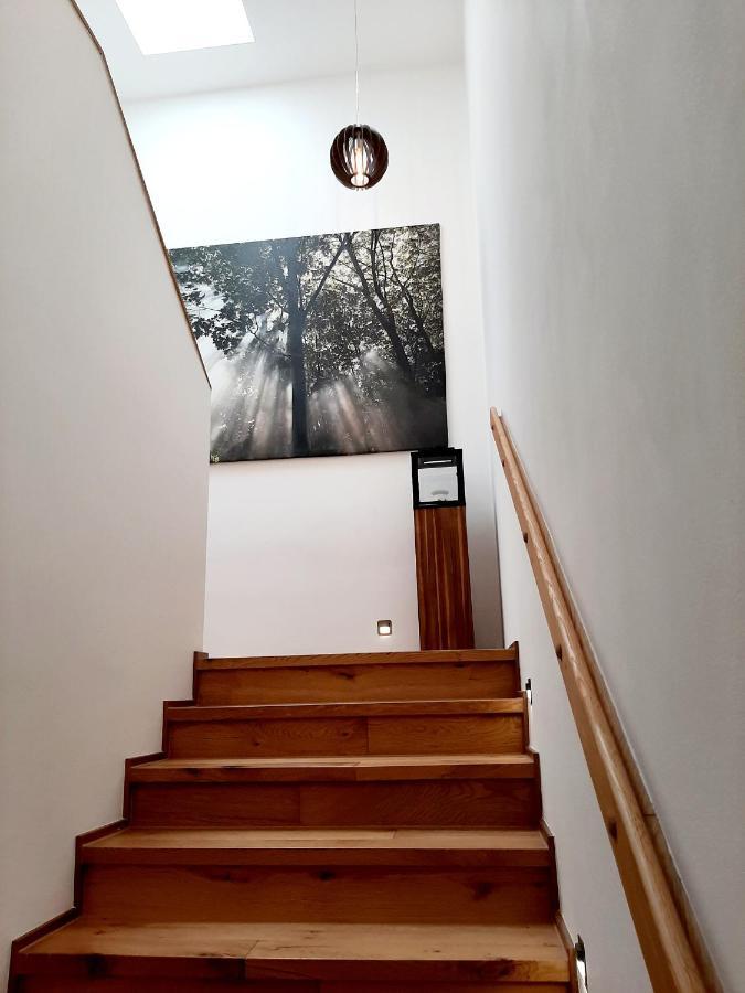 Nobless Apartments Holedna برنو المظهر الخارجي الصورة
